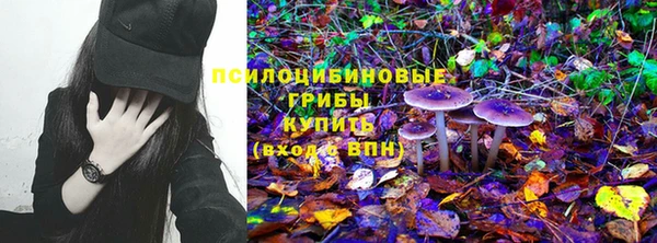первитин Алексин