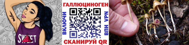 Псилоцибиновые грибы мухоморы Лысьва