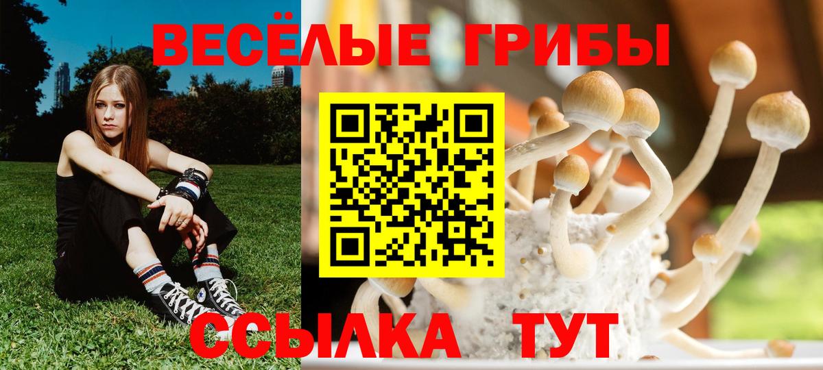 Галлюциногенные грибы Magic Shrooms  Вход с VPN  Лысьва 