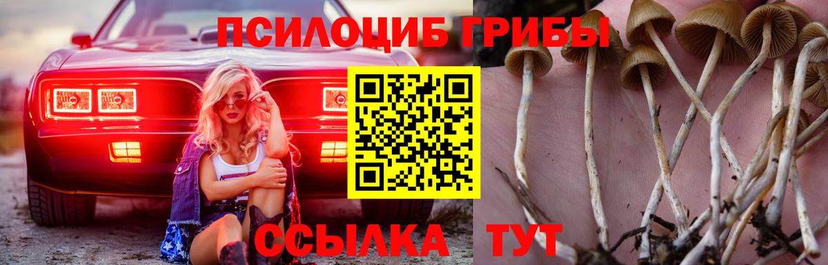 Галлюциногенные грибы мицелий  Вход с VPN  Лысьва 